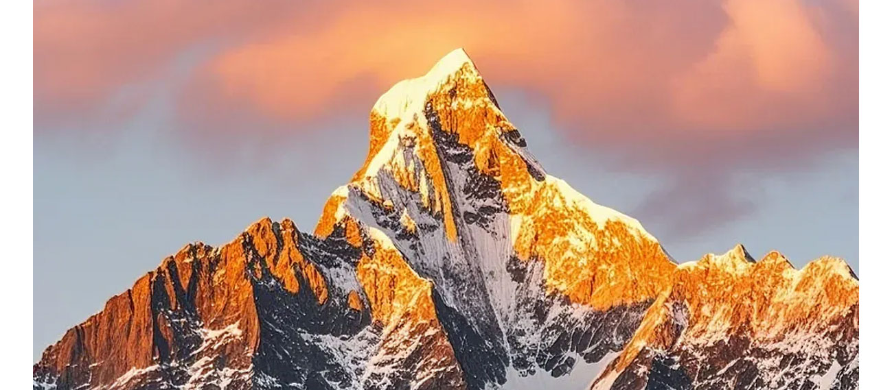 青島富強電子有限公司官方網(wǎng)站