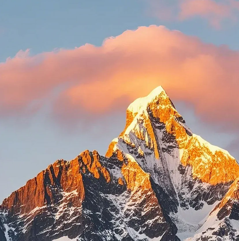 青島富強電子有限公司官方網(wǎng)站